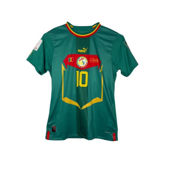 Senegal 23 Away Shirt (L)