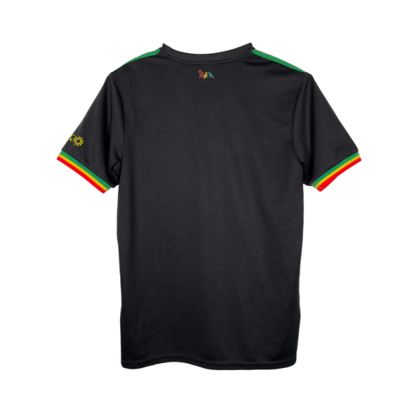 Ajax 21-22 3rd Shirt (XL) - Image 2